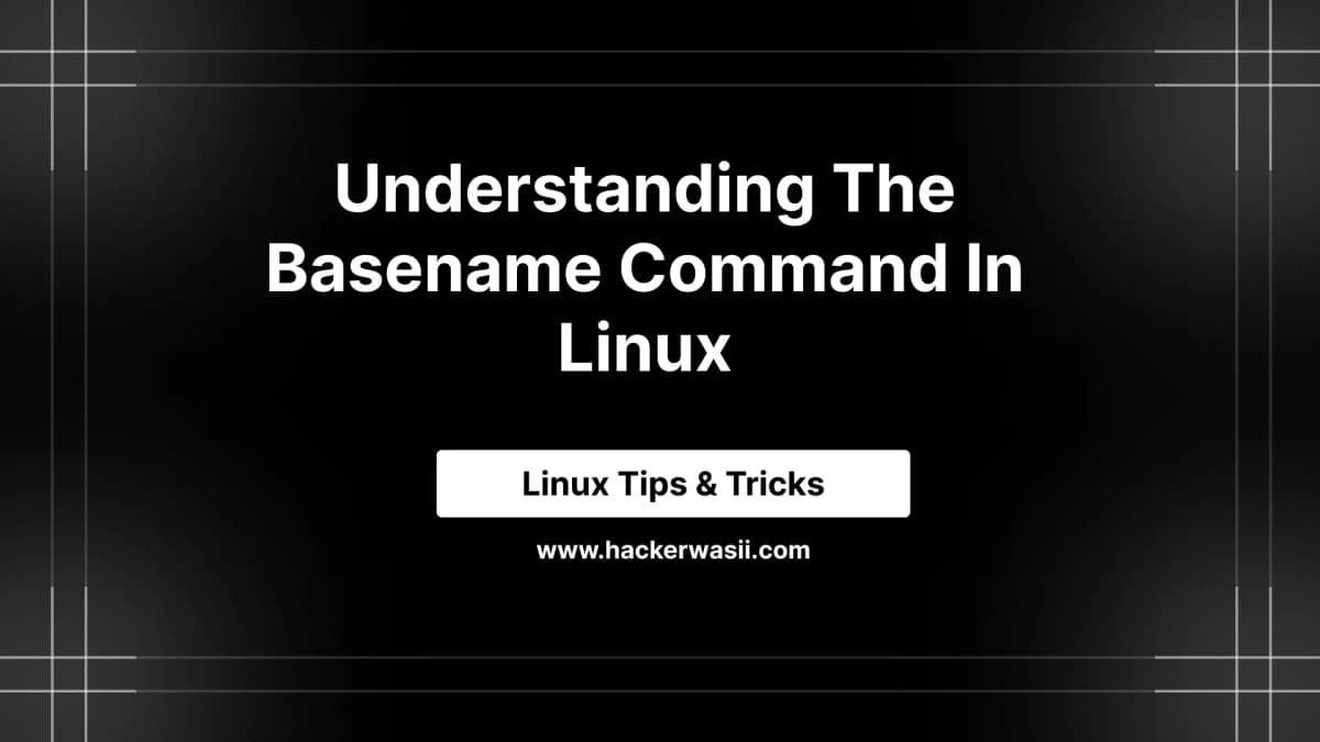 Understanding the basename Command in Linux